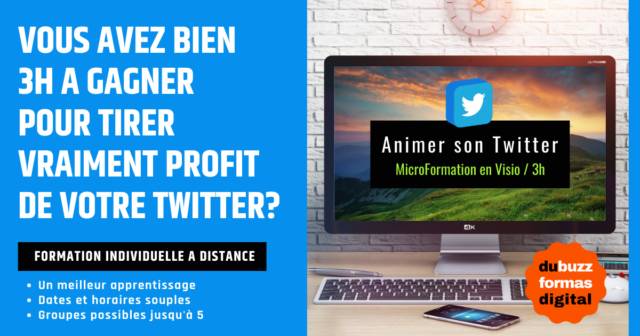 Formation Twitter individuelle à distance.