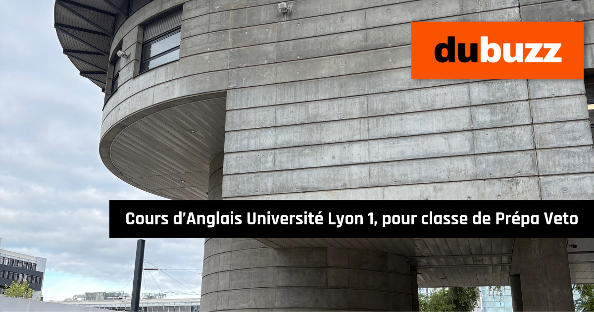 cours d'anglais Université Lyon pour classe Prépa Veto (licence)